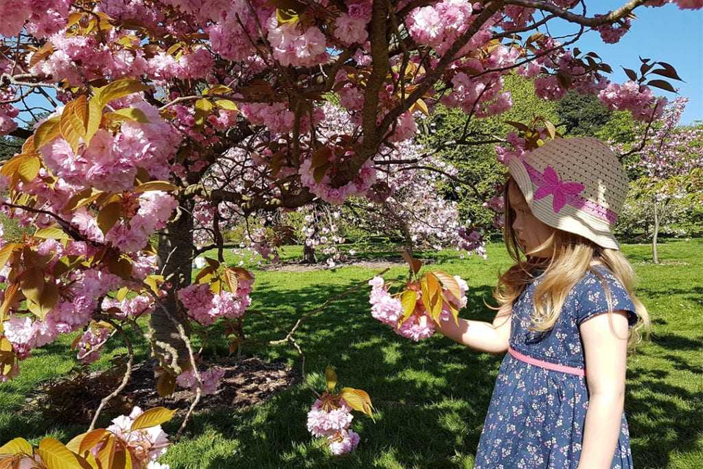experience spring in London with your children