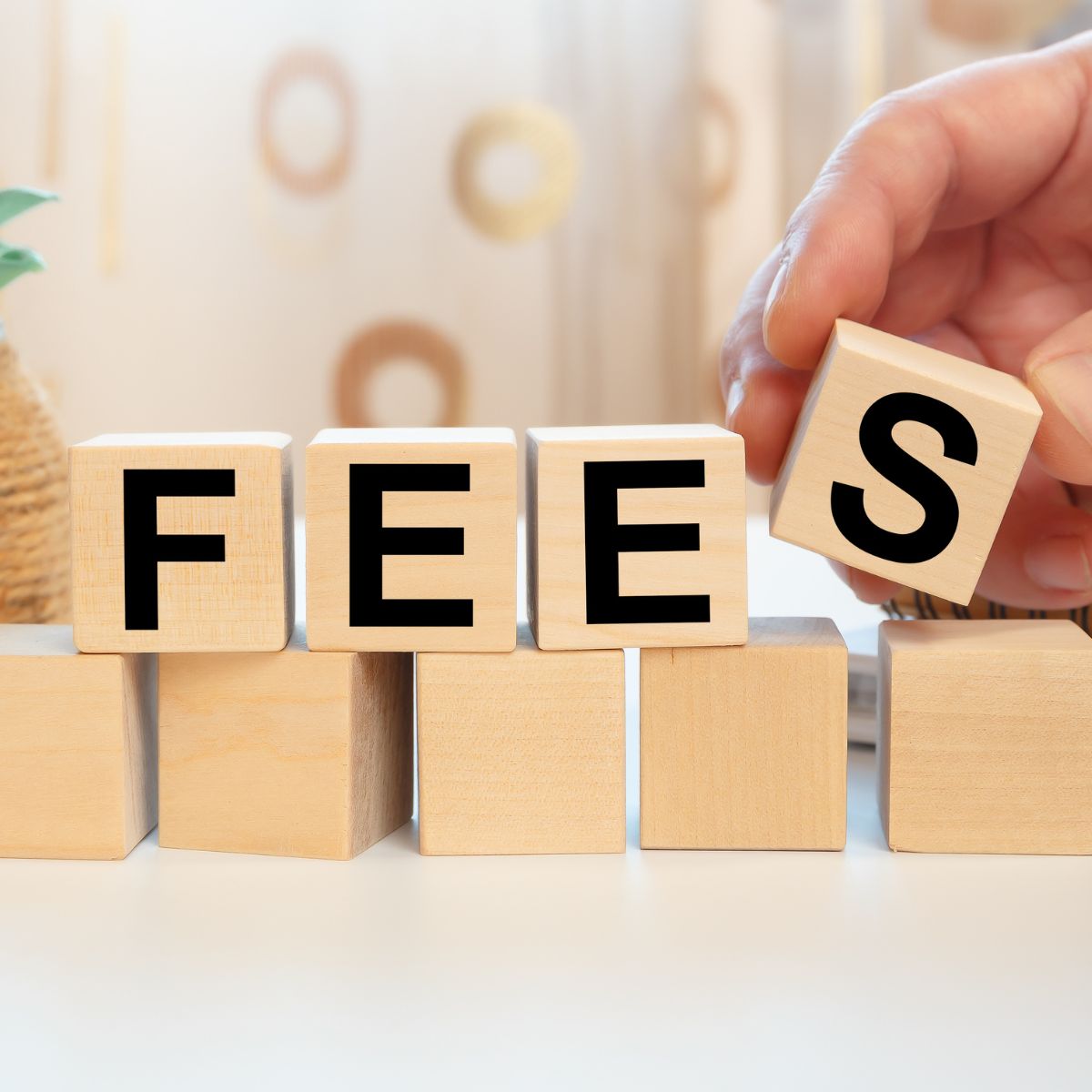 How Much Does Airbnb Take? Get Tips to Earn More Despite The Fees